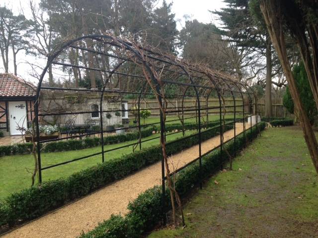 arch wisteria